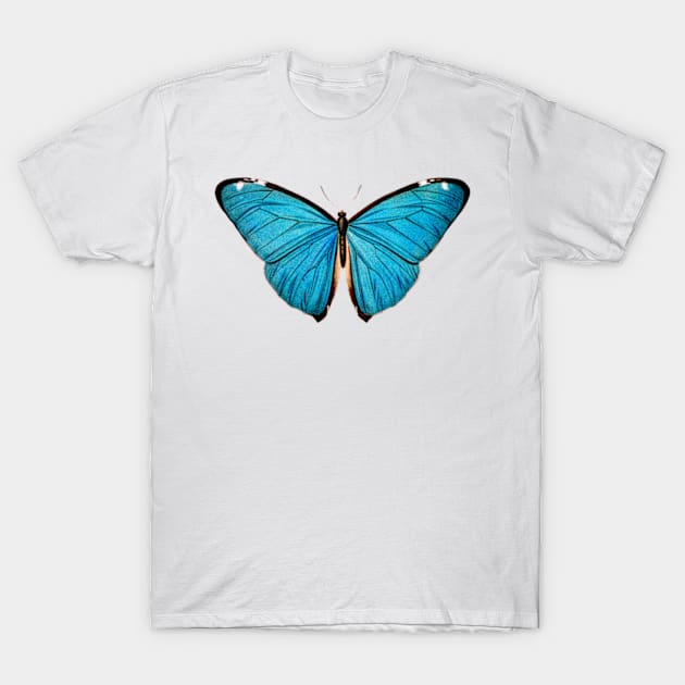 Common Blue butterfly Vintage T-Shirt by Petko121212